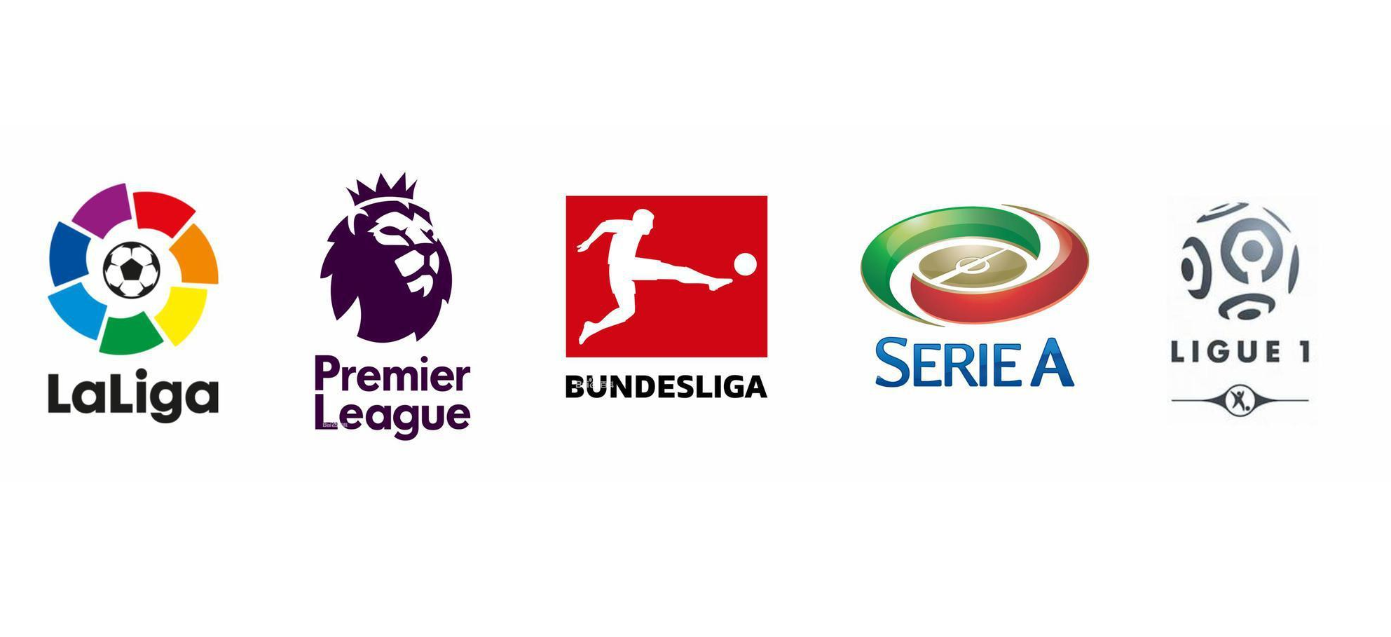 的三分投射 的三分投射