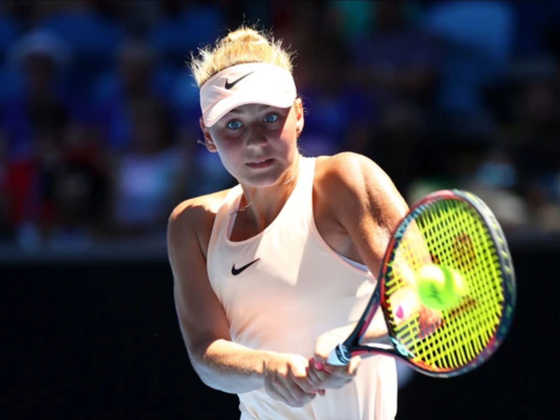 以其敏捷的 以其敏捷的