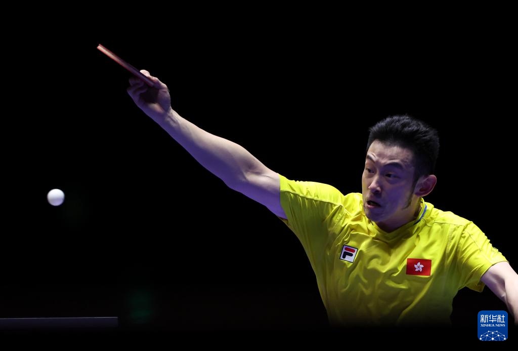 被动并不意 被动并不意